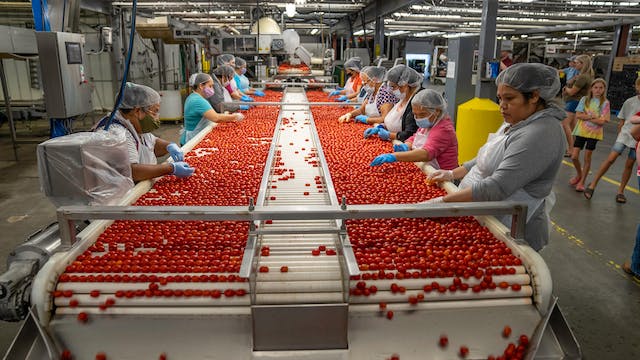 Women besides a belt conveyor system