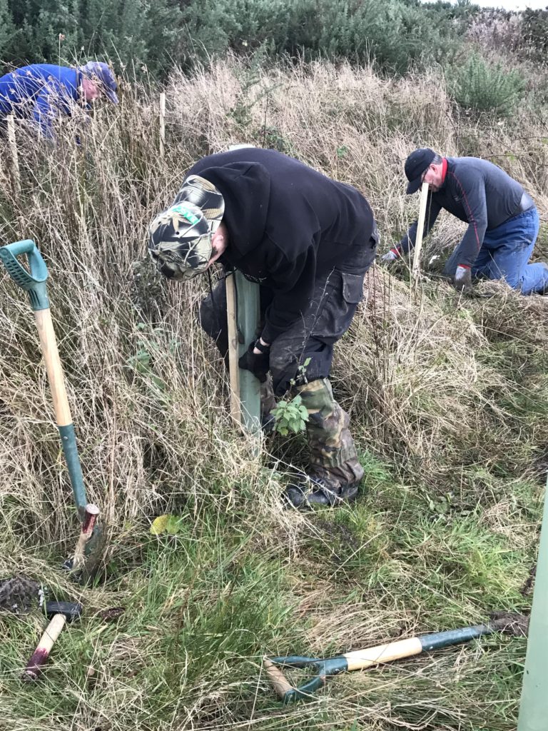 Spiroflow employers planting trees