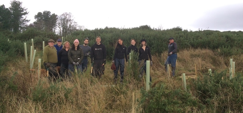 People standing in the middle of a field